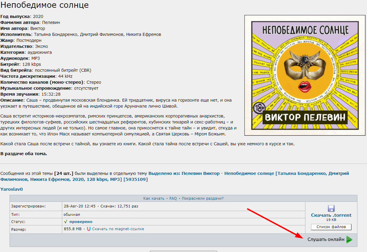 Web Torrent Player