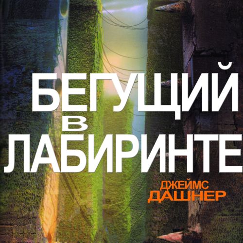 Бегущий в лабиринте The Maze Runner