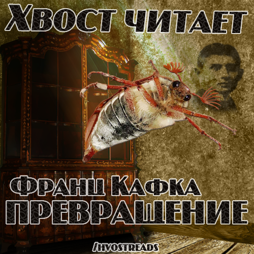 Хвост читает Франц Кафка Превращение
