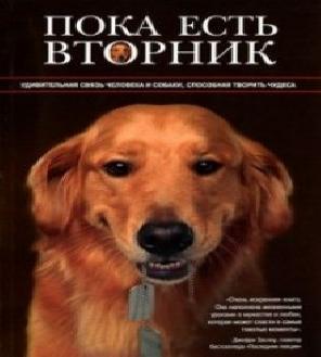 Пока есть Вторник. Удивительная связь ч...