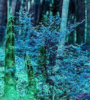 Филип Дик Отец двойник