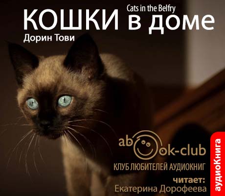 Кошки в доме