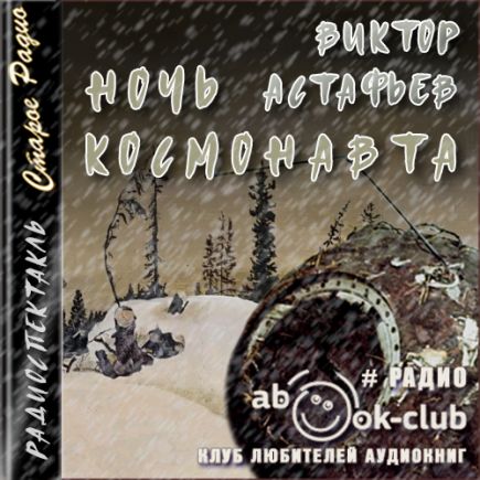 Ночь космонавта
