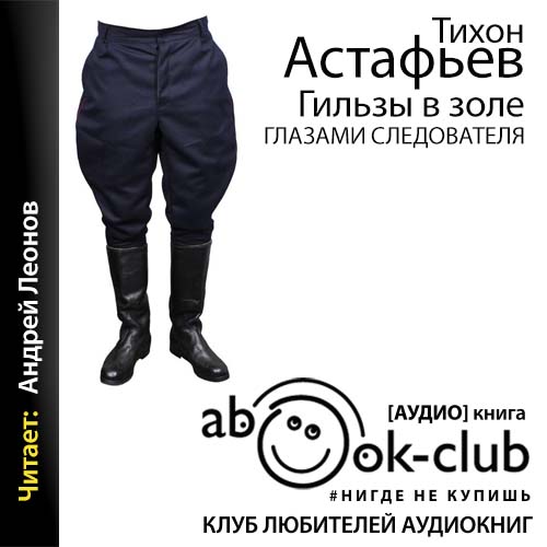 Гильзы в золе. Глазами следователя