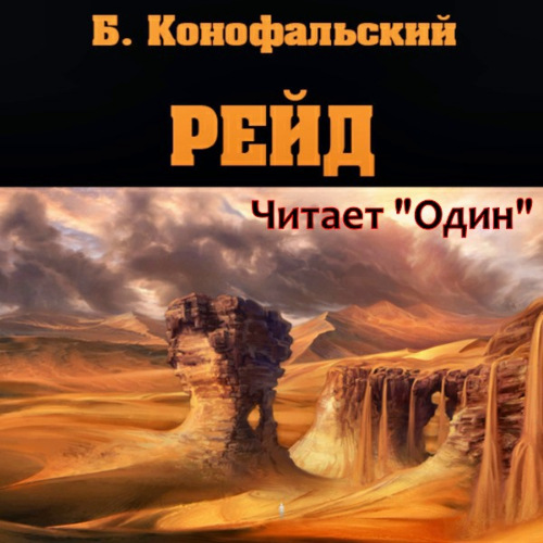 Рейд