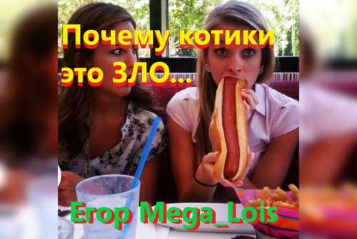 Почему котики-это зло