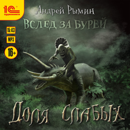 Вслед за Бурей