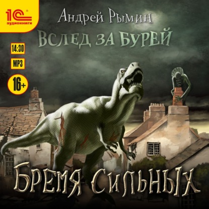 Вслед за Бурей
