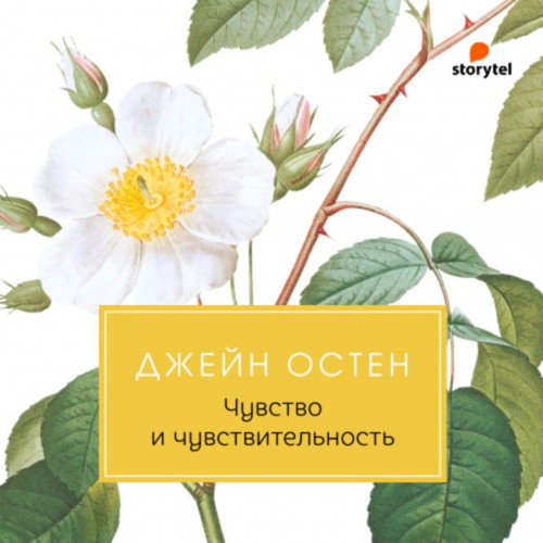 Чувство и чувствительность