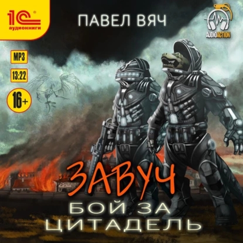 Бой за Цитадель