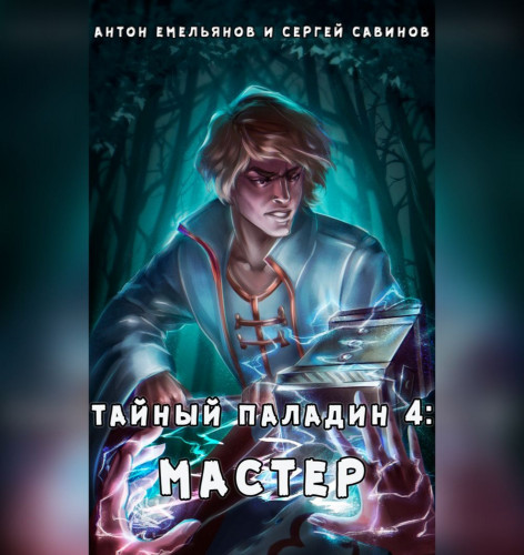 Тайный паладин 4 Мастер