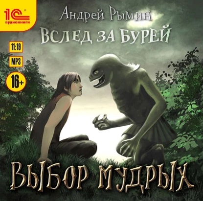 Вслед за Бурей