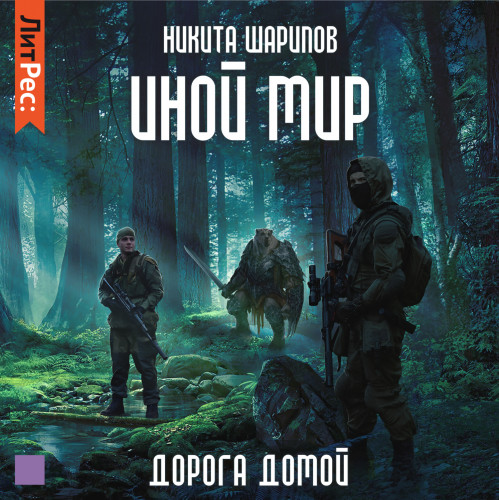 Дорога домой