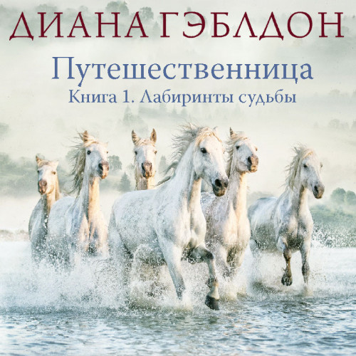 Путешественница. Книга 1. Лабиринты суд.