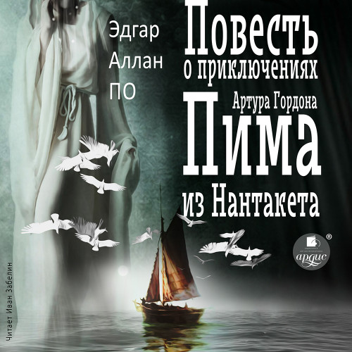 Повесть о приключениях Артура Гордона П.