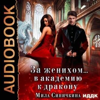 За женихом В академию к дракону