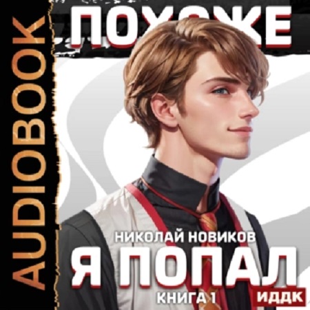 Николай Новиков Похоже, я попал 1