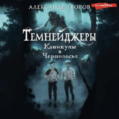 Темнейджеры 1, Каникулы в Чернолесье