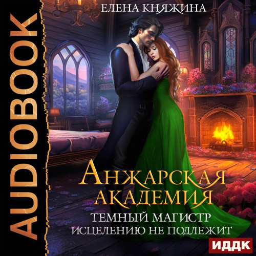 Анжарская академия. Темный магистр исце.