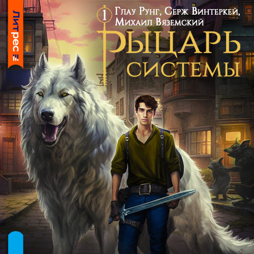 Рыцарь системы