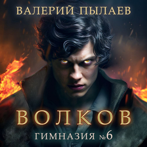 Гимназия 6