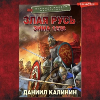 Зима 1238