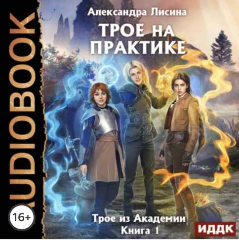 Трое на практике