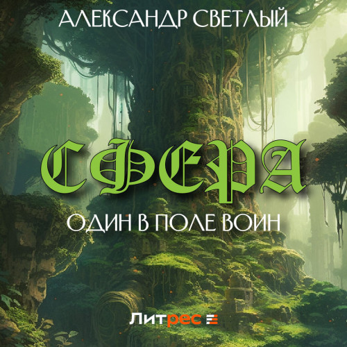 Один в поле воин