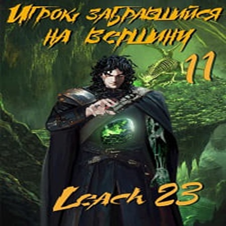 Игрок, забравшийся на вершину. Книга 11
