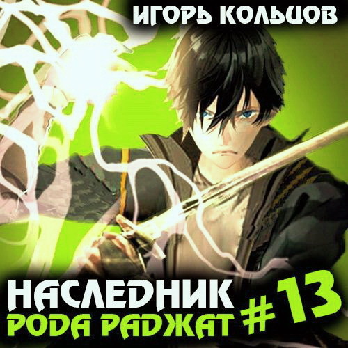Наследник рода Раджат. Книга 13