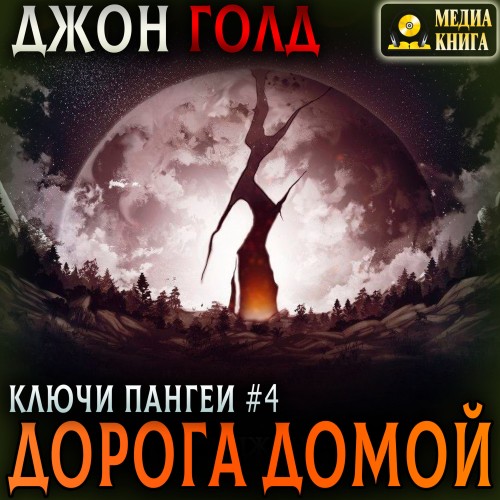 Дорога домой