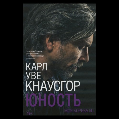 Моя борьба. Книга четвертая. Юность