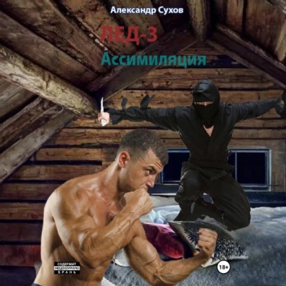 Ассимиляция