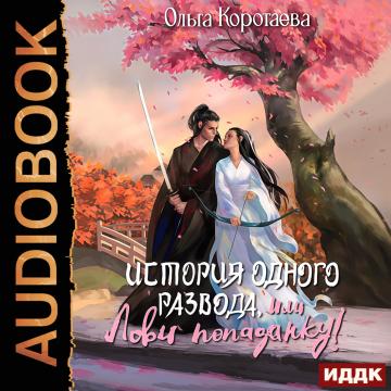 История одного развода, или Лови попада.