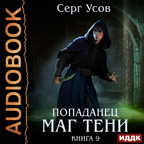слушать Попаданец. Маг Тени. Книга 9