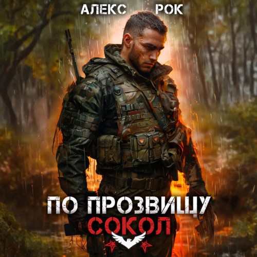 По прозвищу Сокол. Том 1