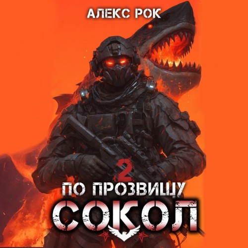 По прозвищу Сокол. Том 2