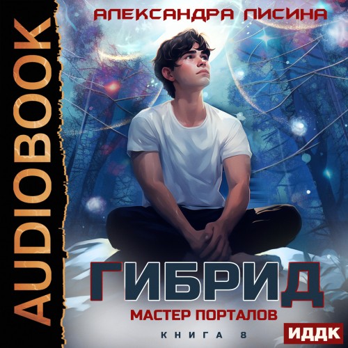 Мастер порталов