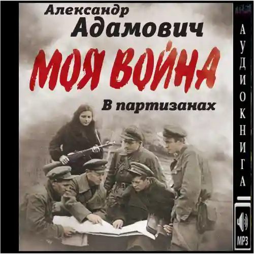 В партизанах