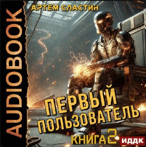 Первый пользователь. Книга 2