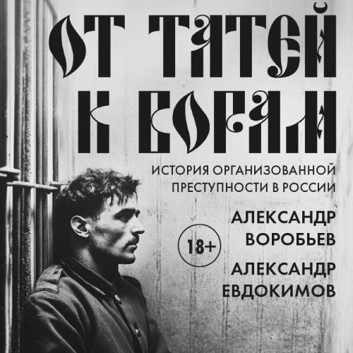 От татей к ворам. История организованно...